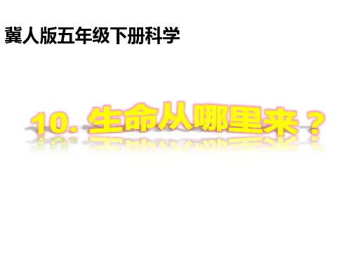 五年级科学下册课件-10生命从哪里来 - 冀人版(共13张PPT)