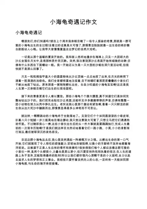 小海龟奇遇记作文