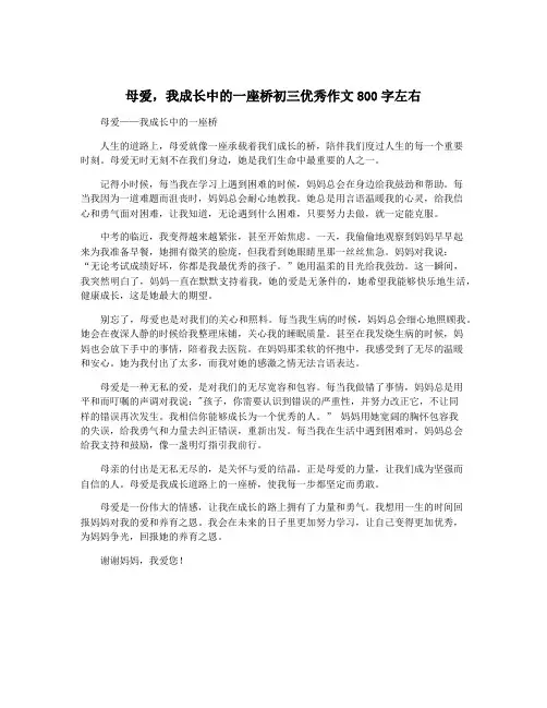 母爱,我成长中的一座桥初三优秀作文800字左右