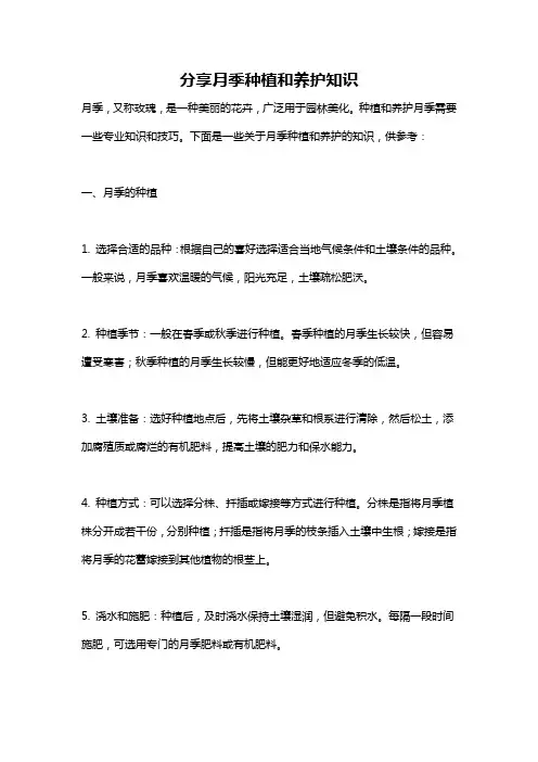 分享月季种植和养护知识