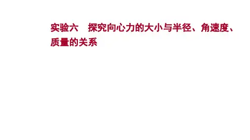 2022版新高考物理：实验六 探究向心力的大小与半径、角速度、质量的关系