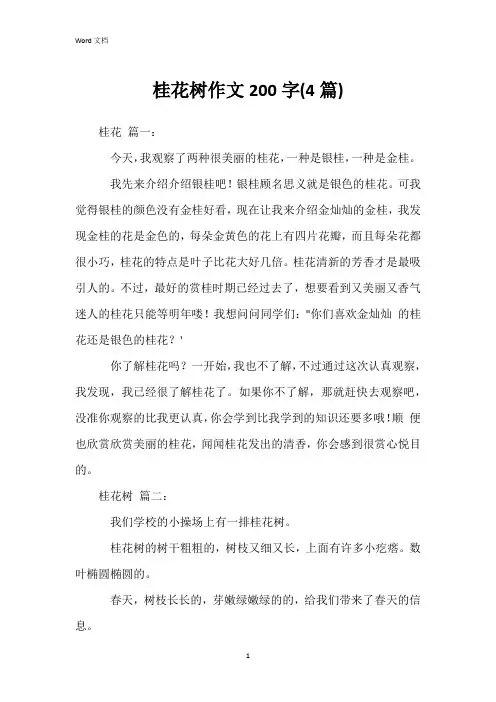 桂花树作文200字(4篇)