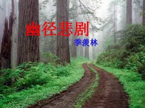 幽径悲剧教学ppt