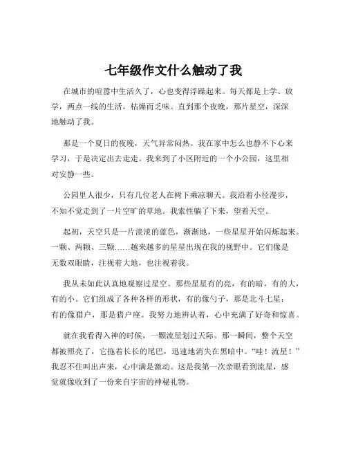 七年级作文什么触动了我