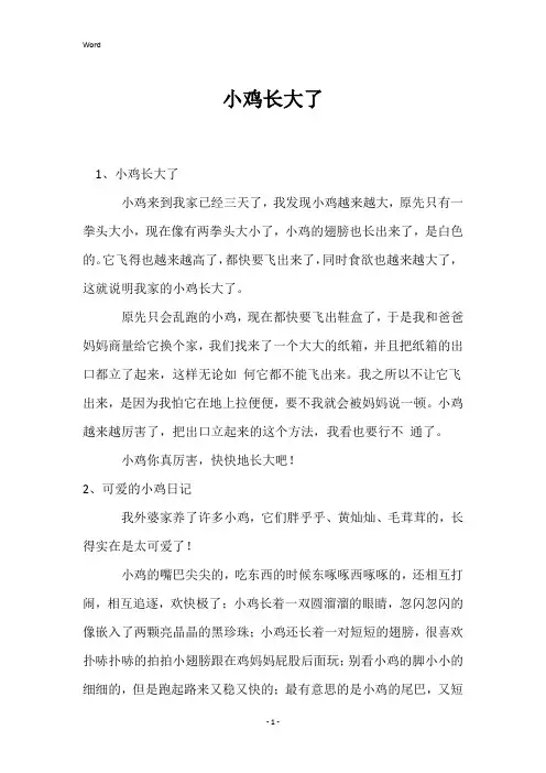 小鸡长大了