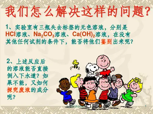 复分解反应及其应用专题复习ppt课件