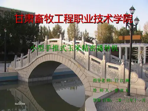 小型手推式玉米精密播种机.ppt0000