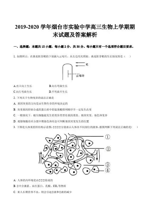 2019-2020学年烟台市实验中学高三生物上学期期末试题及答案解析
