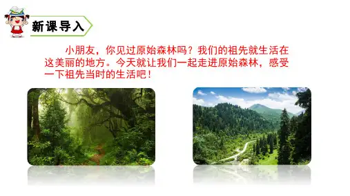 二年级下册语文课件祖先的摇篮人教部编-精美ppt