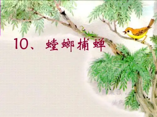 六年级下册课件《螳螂捕蝉》PPT课件
