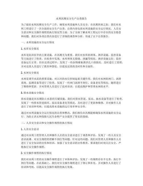 水利汛期安全生产自查报告