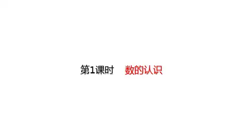 六年级下册数学课件-5.1 数的认识 (共19张PPT)北师大版