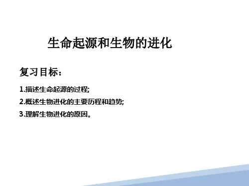 生命起源和生物的进化