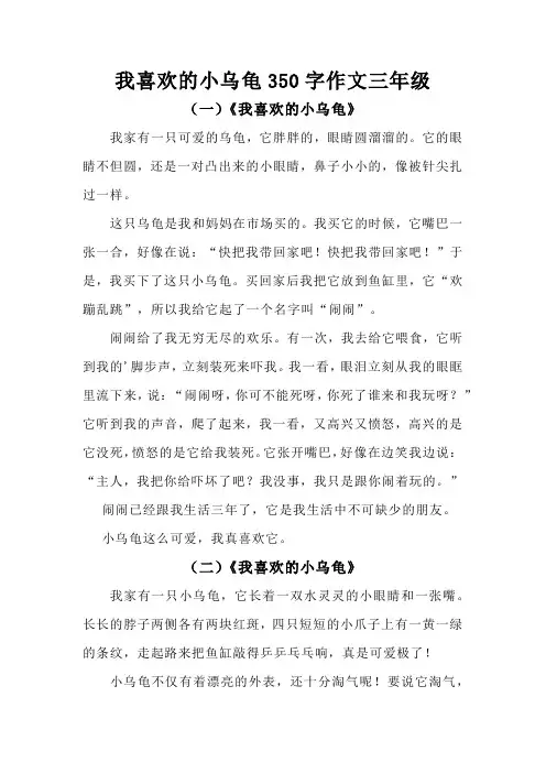我喜欢的小乌龟350字作文三年级