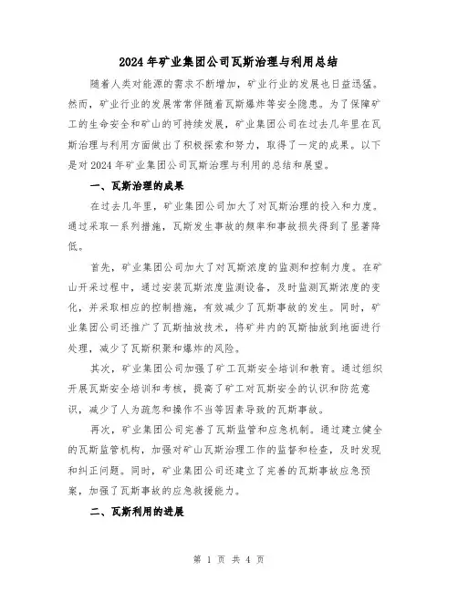 2024年矿业集团公司瓦斯治理与利用总结(2篇)