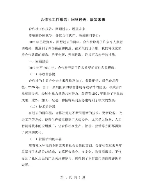 合作社工作报告：回顾过去,展望未来