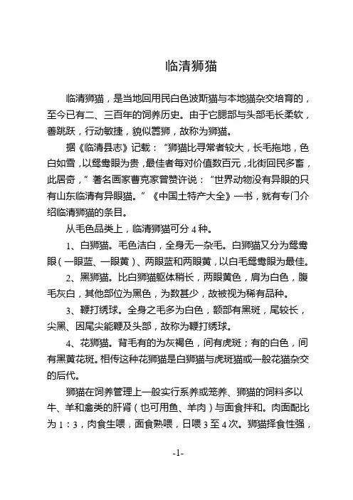 临清狮猫