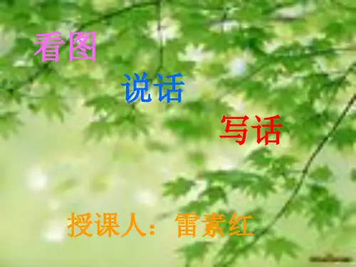 看图说话写话PPT课件