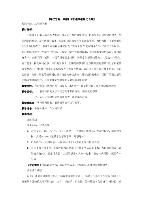 新人教版(部编)三年级语文下册《五单元  习作例文：  尾巴它有一只猫》教案_6