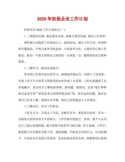 2020年担保企业工作计划