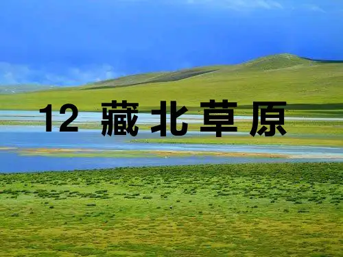 五年级上册语文课件-4.2 藏北草原｜鄂教版 (共24张PPT)