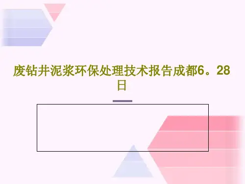 废钻井泥浆环保处理技术报告成都6。28日共45页