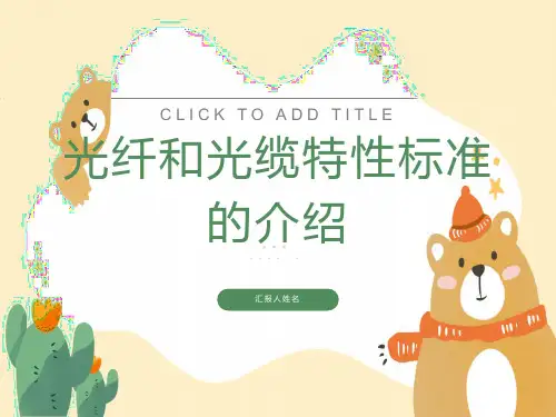 光纤标准的介绍