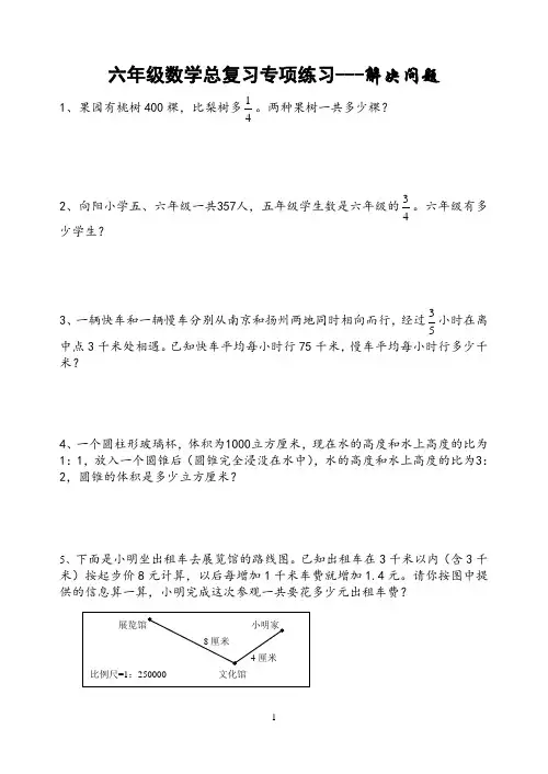 苏教版六年级数学总复习专项练习---解决问题