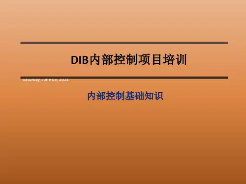 DIB内部控制项目培训-内部控制基础知识(ppt 39页)