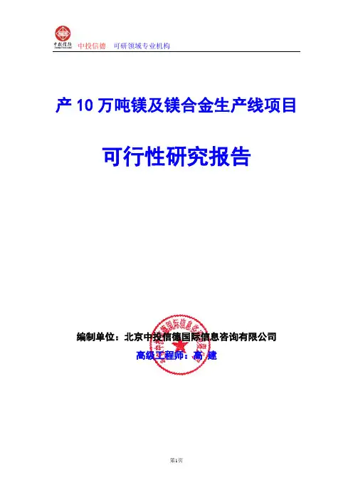 产10万吨镁及镁合金生产线项目可行性研究报告编制格式说明(模板型word)