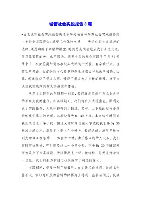 城管社会实践报告3篇