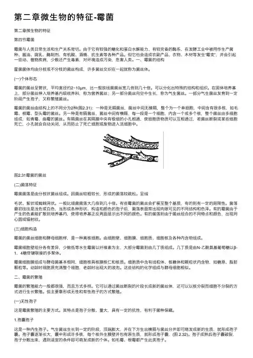 第二章微生物的特征-霉菌
