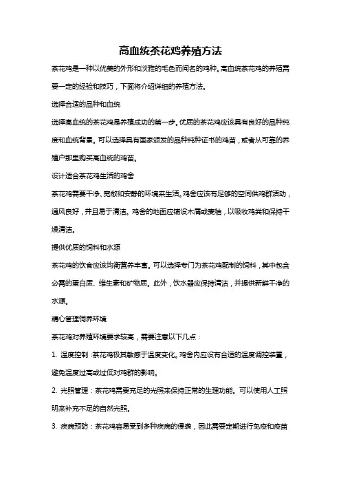 高血统茶花鸡养殖方法
