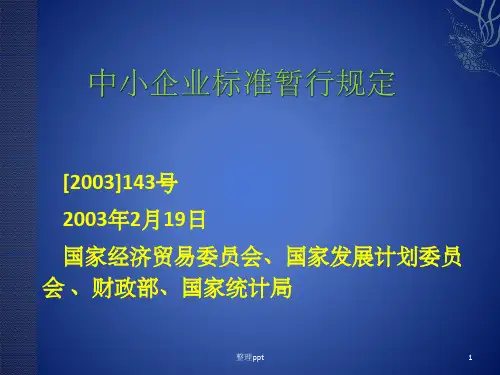 《中小企业标准》PPT课件