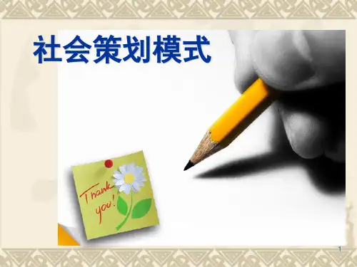 社会策划模式