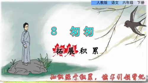 部编版语文六年级下学期第3单元8.匆匆拓展积累课件ppt