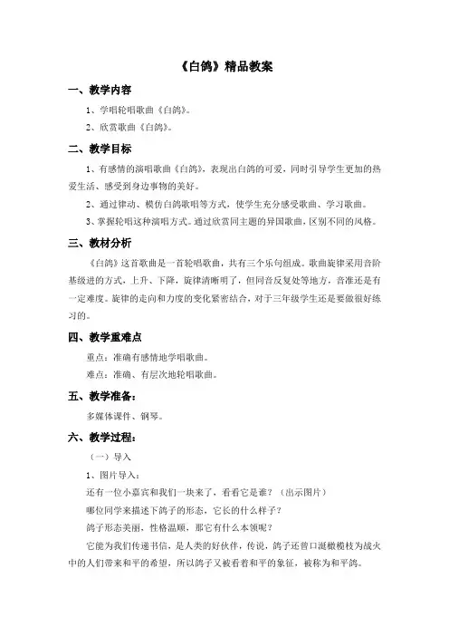 《白鸽》精品教案