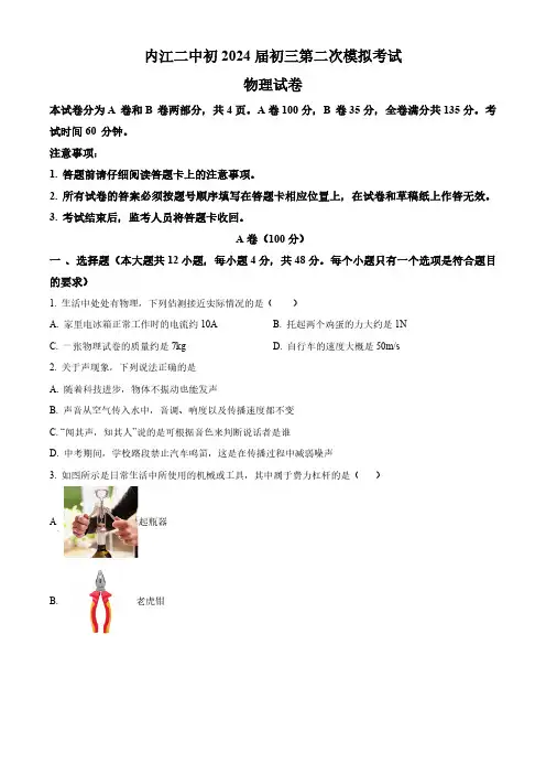 2024年四川省内江市第二中学中考二模物理试题(含解析)