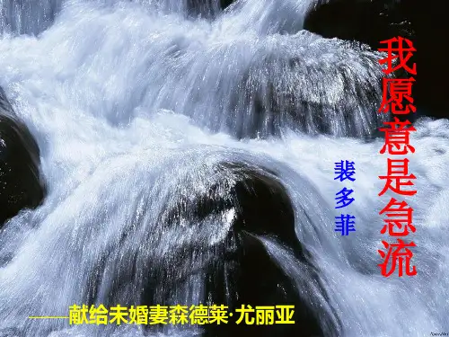 华师大第45课《我愿意是急流》裴多菲