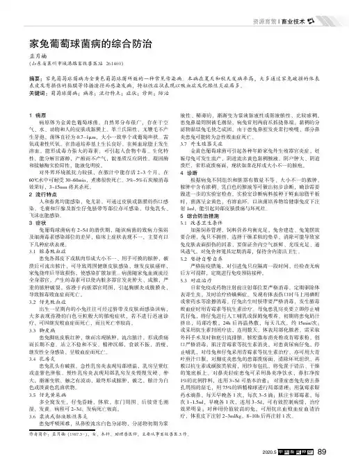 家兔葡萄球菌病的综合防治