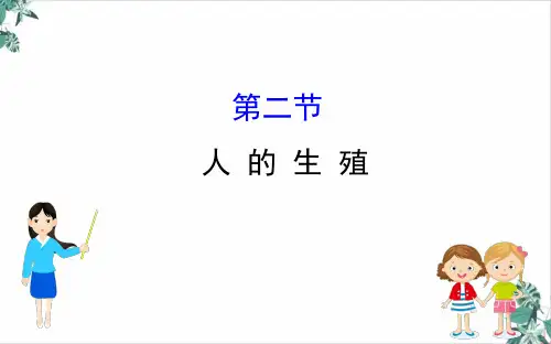 人教版生物人的生殖课件ppt-优质
