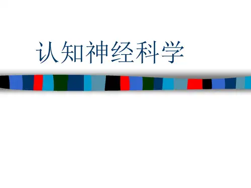 认知神经科学PPT课件