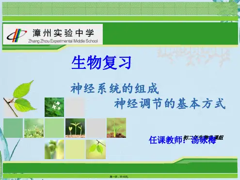 人教生物七级下第六章人体生命活动的调节复习课件(共16张PPT)