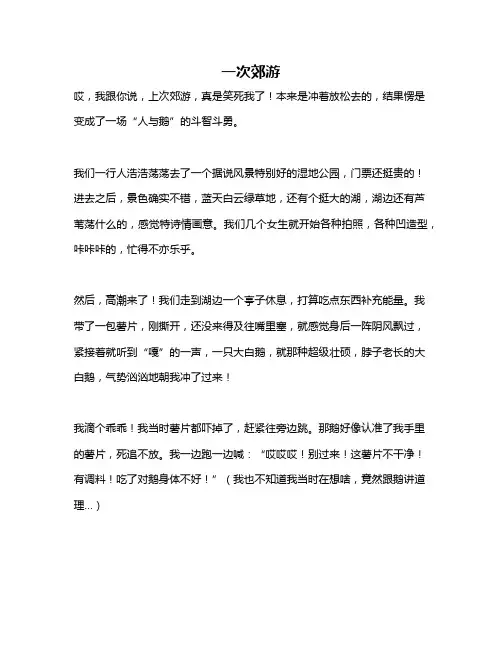 作文《一次郊游》