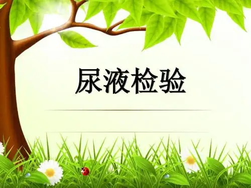 尿液全套检验