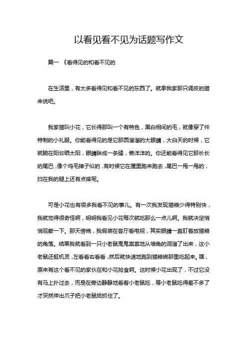 以看见看不见为话题写作文