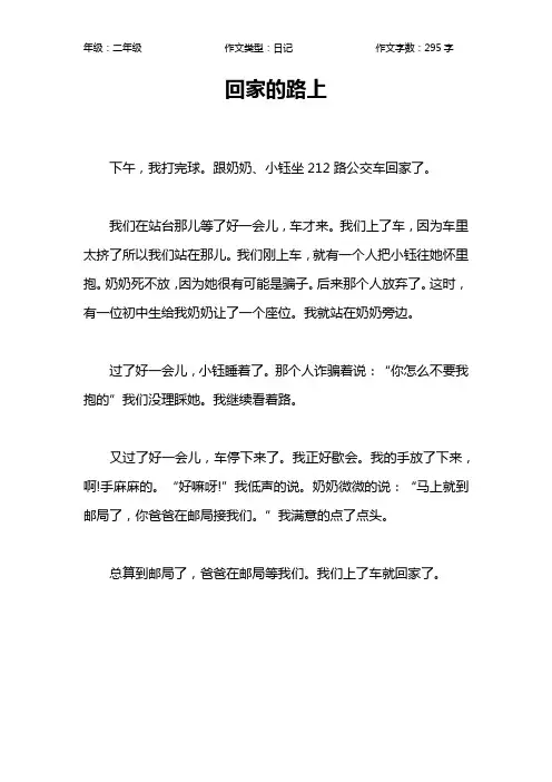 回家的路上作文【小学二年级300字】
