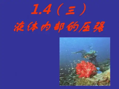 初中物理《液体内部的压强》(共14张)ppt9