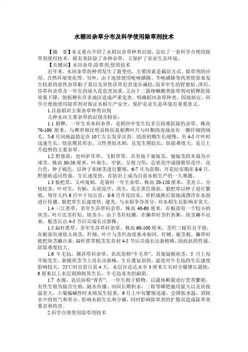 水稻田杂草分布及科学使用除草剂技术