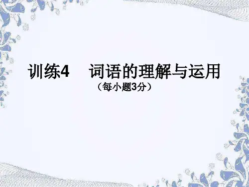 中考语文复习湖北专用训练词语的理解与运用课件